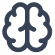 brain